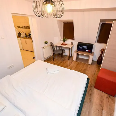 公寓 Unirii Square Old Town