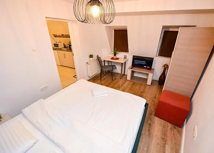 Apartment Unirii Square Old Town